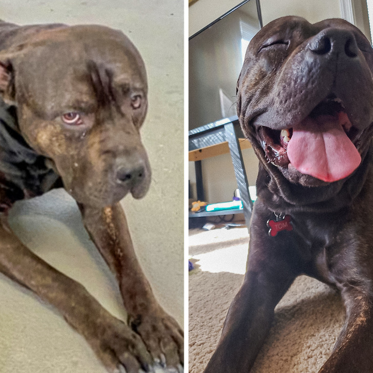 2f4e6d5753a2e456d37b240301 2f4e6d5753a2e456d37b240301