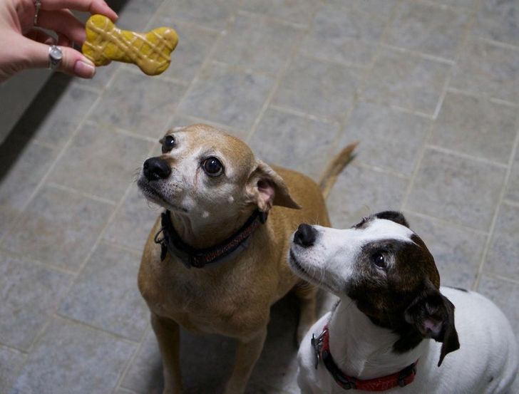 2f52c258e28d95617ac0b19381