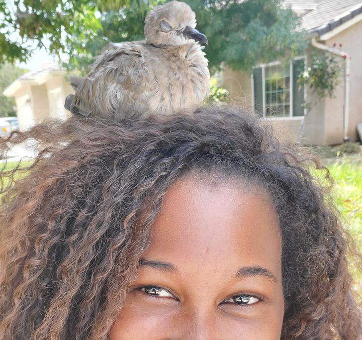 2f56c3524bac14dfeedfa4aac2