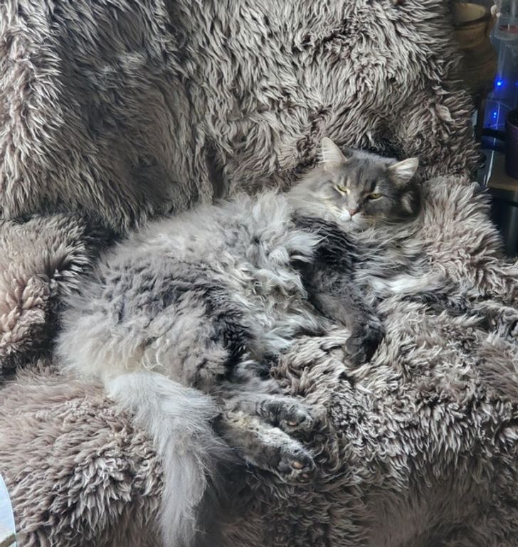 2f5a29541192fab8b9aa486f2e