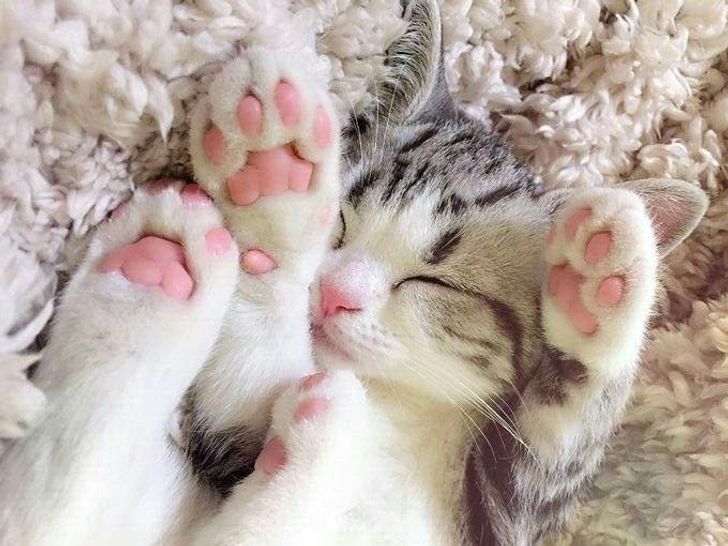 2f5e5b5e13a7c9239d3335a9bf