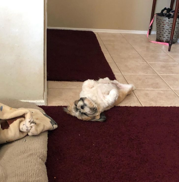 2f63f657109da9a772d286b52b