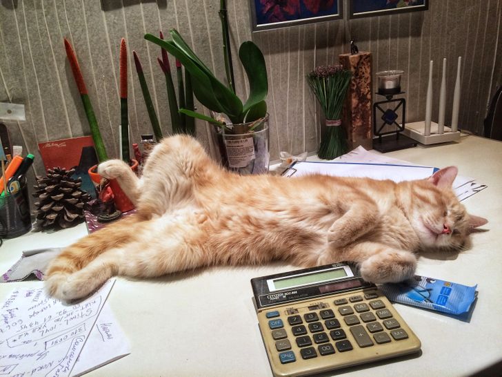 2f656051958b5edc707d430cbc 2f656051958b5edc707d430cbc