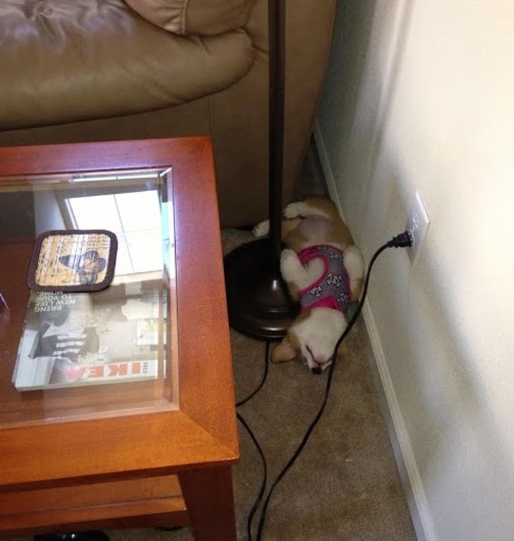 2f662c5afab34803ce80aea1a2