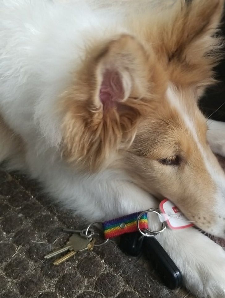 2f667c50999dc6d4d2d76d64dc