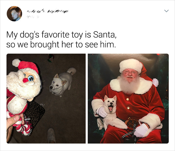 2f67685e07809ec73388518d53