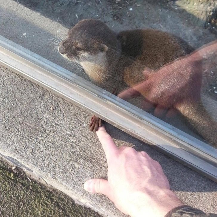 2f69855605833a910bf8e5feae