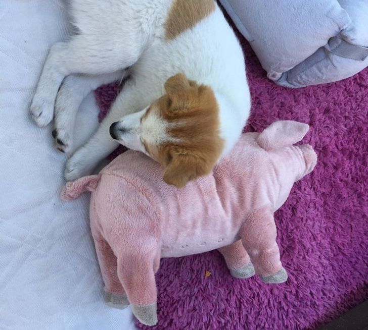 2f69a050379e53dc483f57cd29