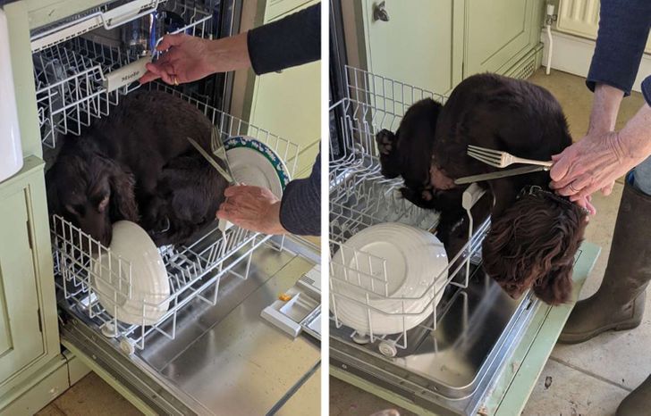 2f7a3c56c99230fc2470c08382