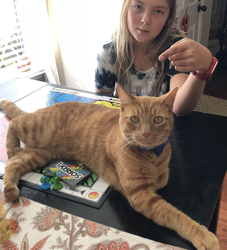 2f7b9b52978b2e72b8b7710821