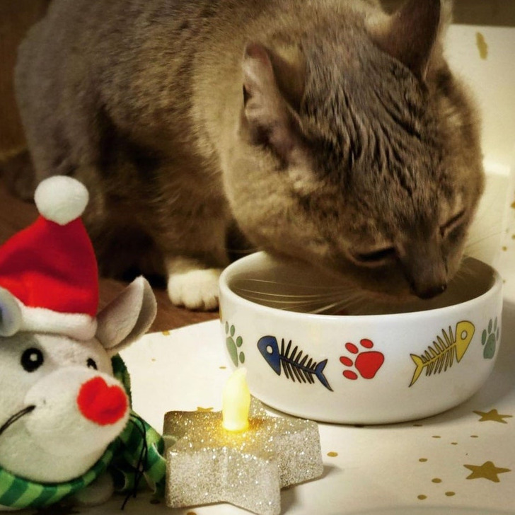 2f8a695f90bc2809ad2b09f6f9