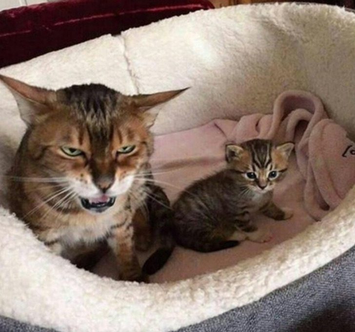 2f8b595a14955d1fe8a31fe124 2f8b595a14955d1fe8a31fe124