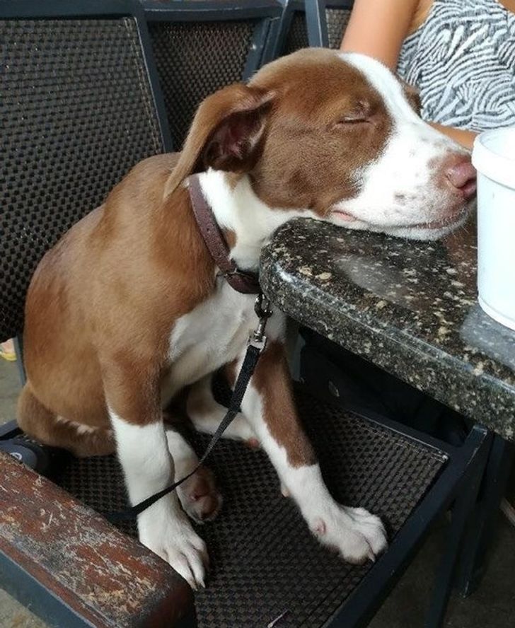 2f8d7a590bb1affecc2876b2aa 2f8d7a590bb1affecc2876b2aa