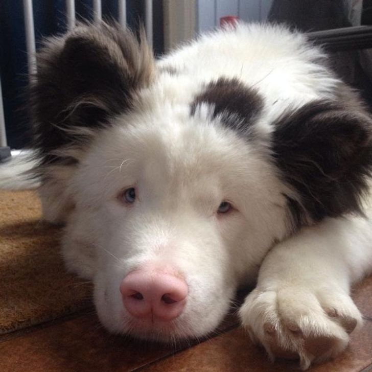 2f93bc5792a9386114bb827a07