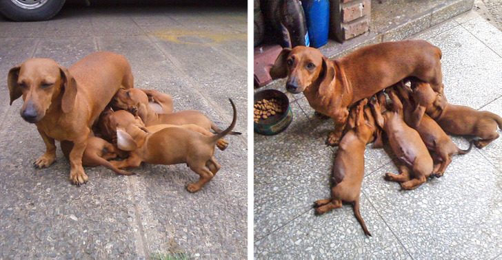 2f95bd5269924f40ca55059ce5 2f95bd5269924f40ca55059ce5