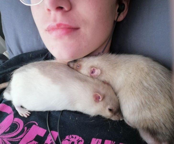 2f9e0854a882262bafe5556ecb