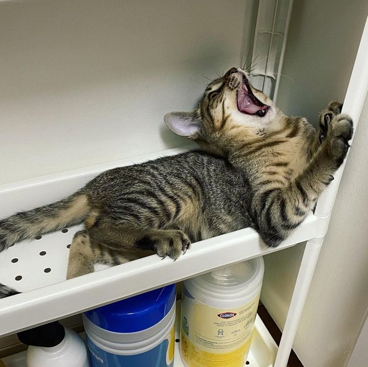 2fa5035bad875131eed68826c0