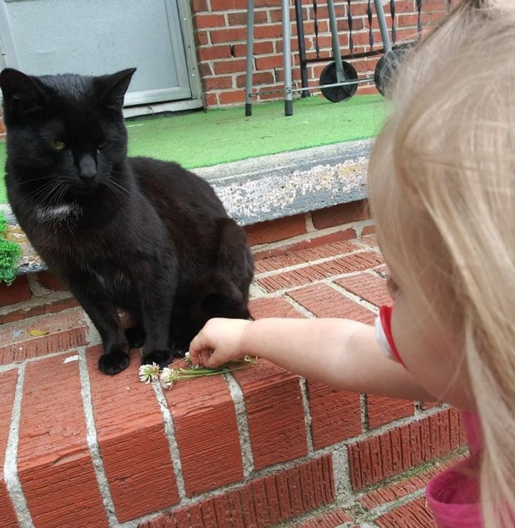 2fa5995f309bebc4902302a86b