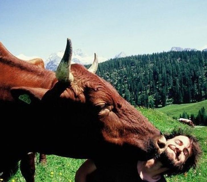 2fa75058daa3cb0911ccc13652