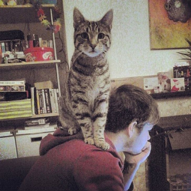 2fb56050ec929b13d93f1a9882