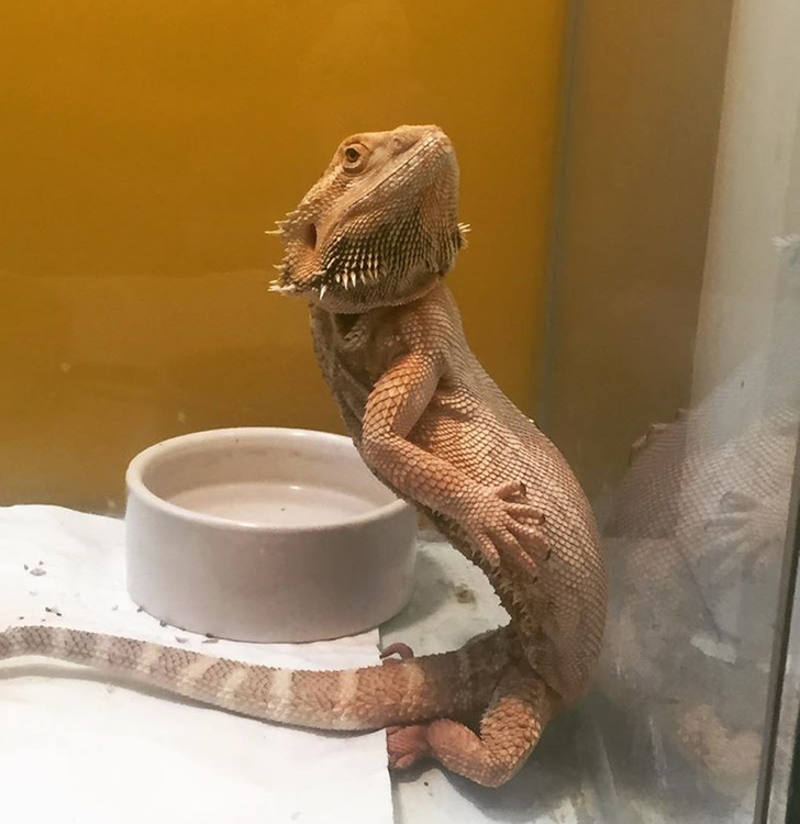 2fc3675fc08a95635149cc6094