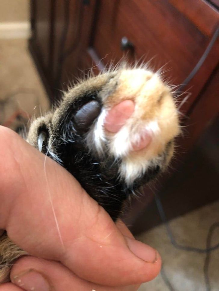 2fc66653339760f9f03403c71e