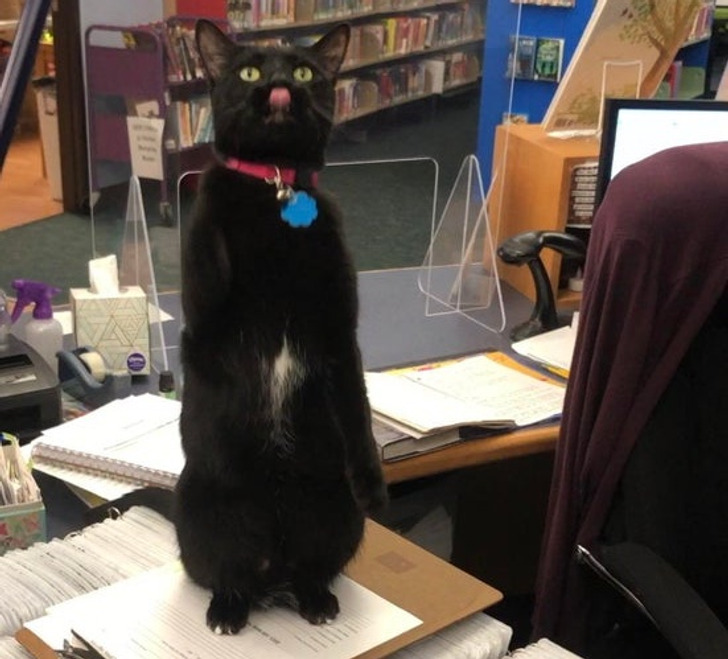 2fd03452329be77ecc53f8dbf0 2fd03452329be77ecc53f8dbf0