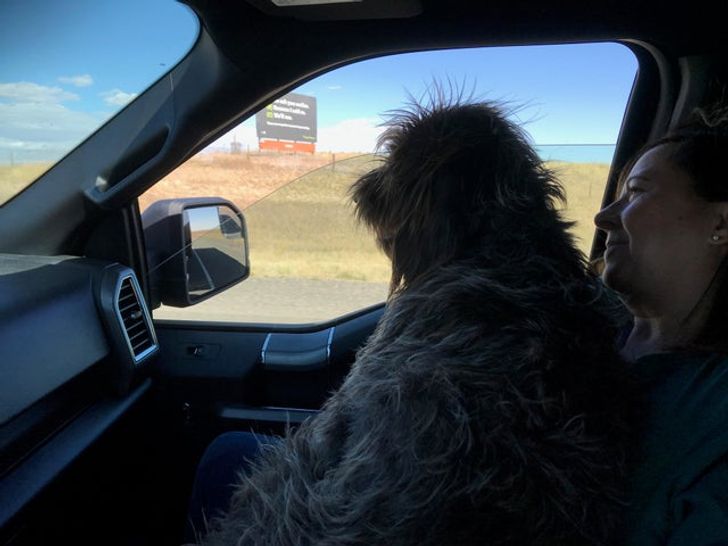 2fd8c55aac9af1bca2dddf61c8