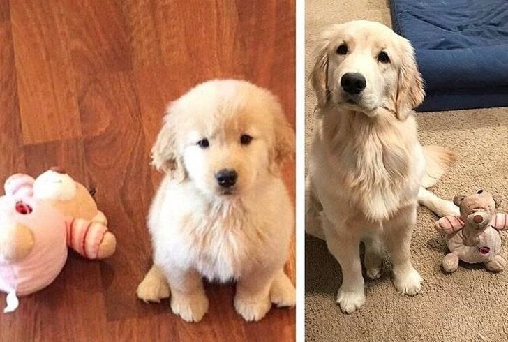 2fe2295886be84d9bf80b0c5c5