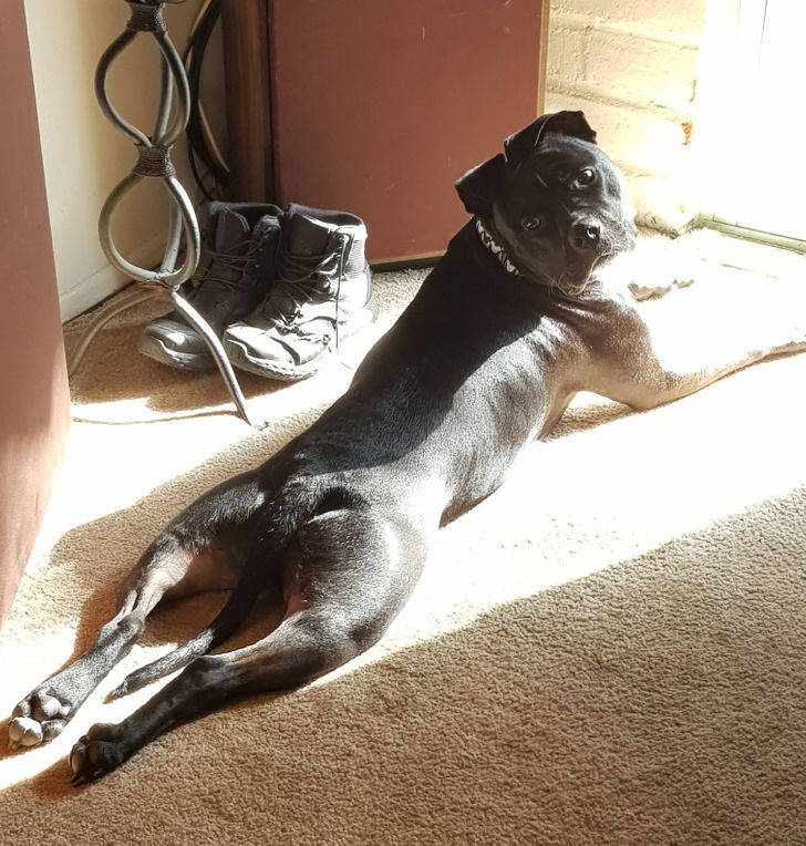 2fe9d156faacbd8d8e3eb8b8c0