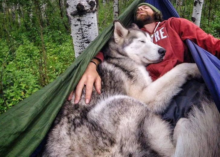 2feafc543fb3dd8fe936ec55a2