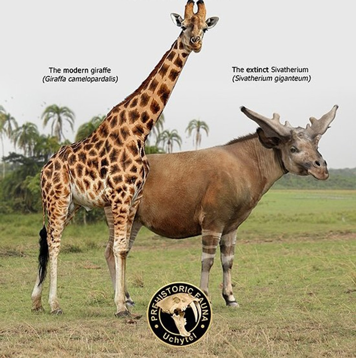 2feccd5ce594c8c882bf5768c3