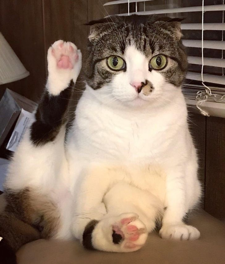 2ff43950fdb4b7613b7bd1476f