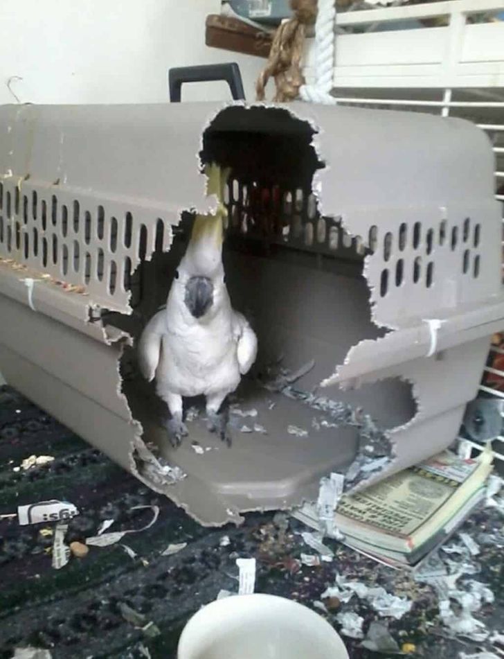 2ff7c657de888df3249047e8cc