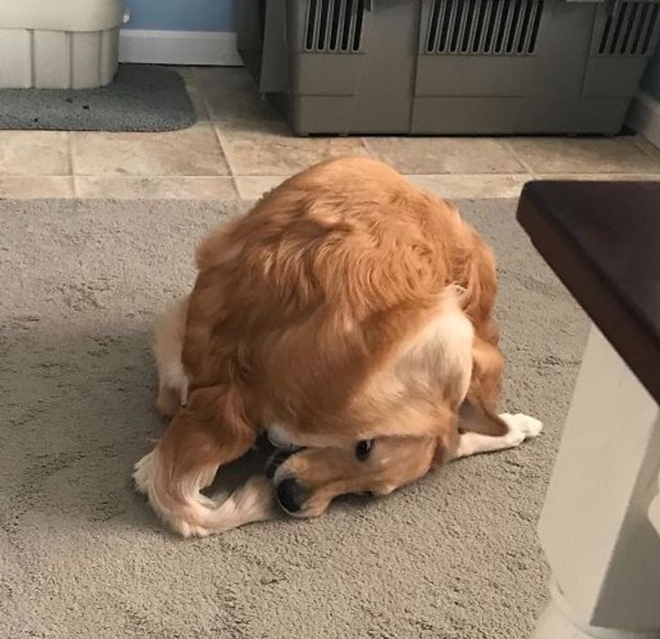 30075b52bead1642cec2c668ea