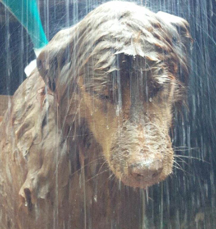 30093d527a8bbfbe136858af65