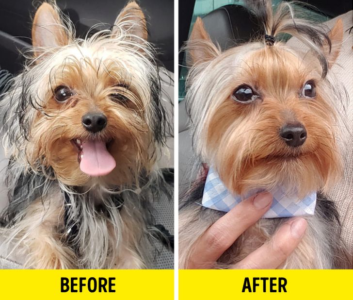 300cb65c5c98b4849f92d46e4f