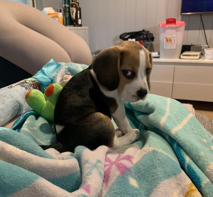 30109b53d3bd50f8a712d4d707