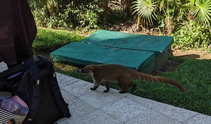 30148051719714c1545ecb467c