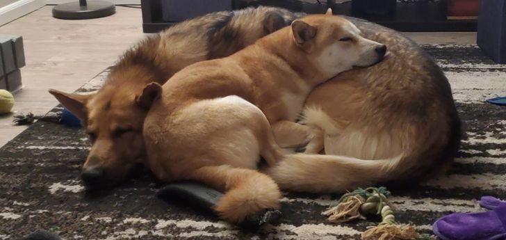 3019fa5302b71fe52e05cf20d8