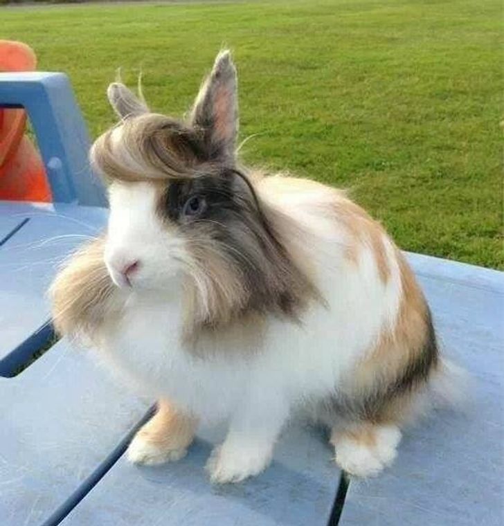 301db157ffb226ba8c4c6a123a