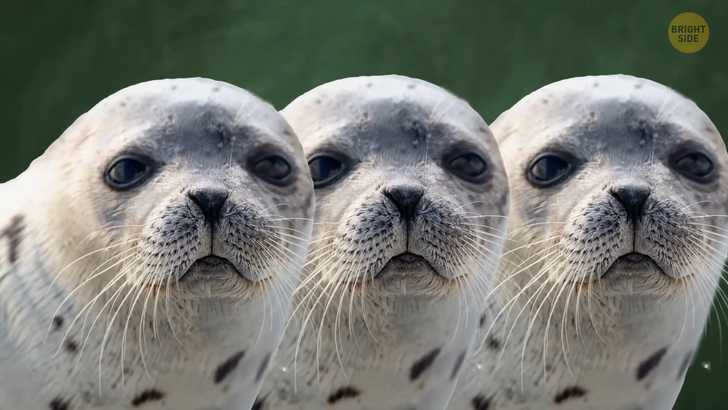 30229250e189314ead5f048d61