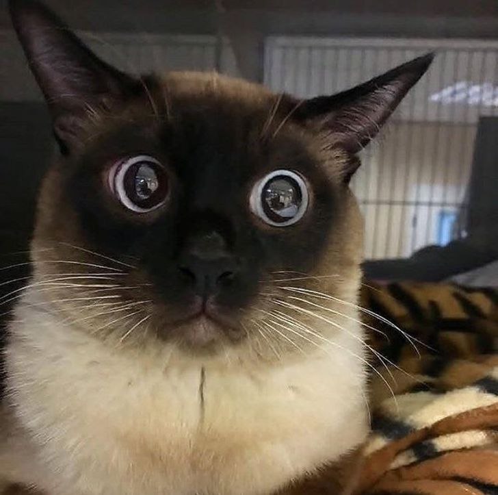 3033b0542898262a3fe5791ad7