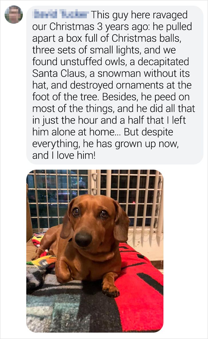 3036555555b590866e6a2e4971