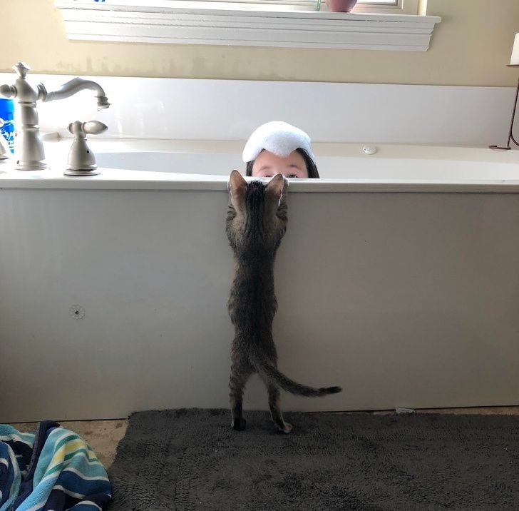 3037655f85a1178296b5d2cf54