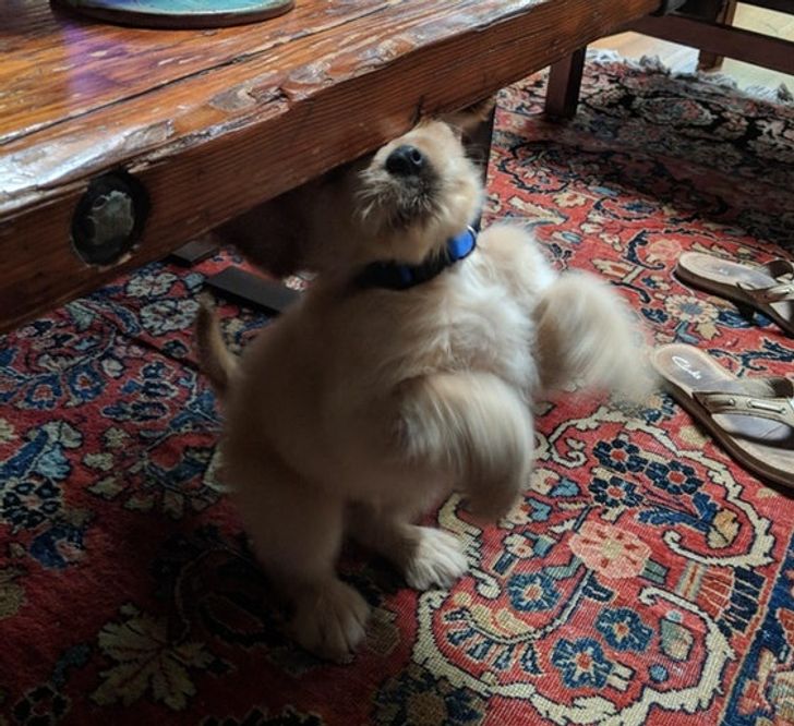 3043c955069b8d8e5ddcb07620