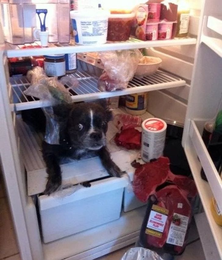 3045cc52b4925ef7243f4dfd0f