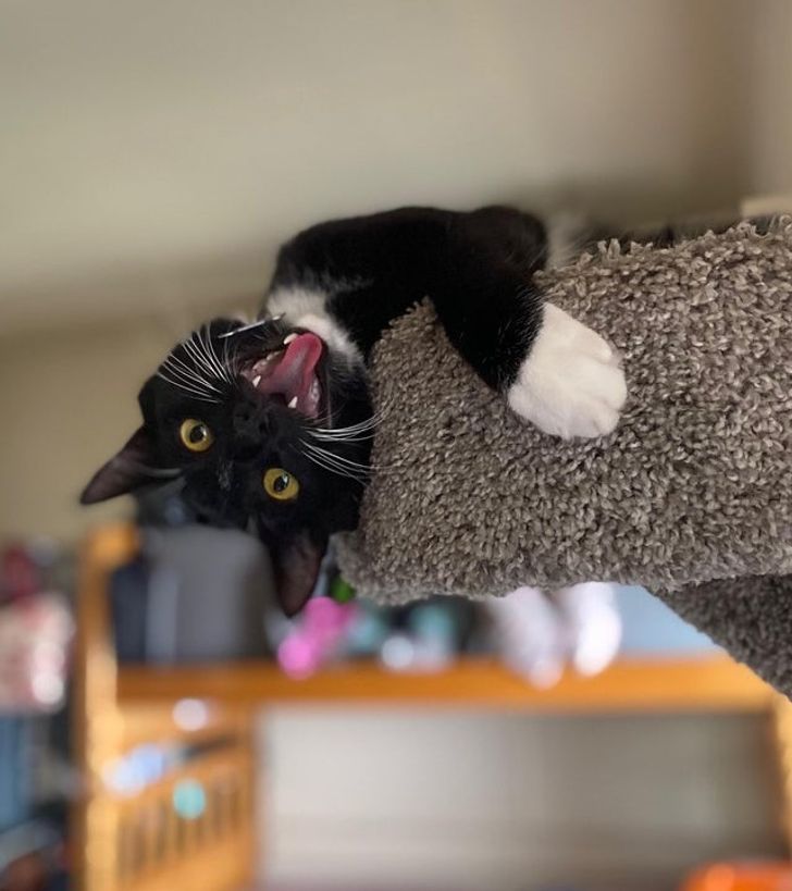 30486258c0b5b2c7d76adf3564