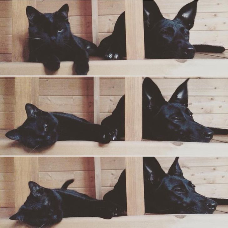 304ee95f758975cff23f714918