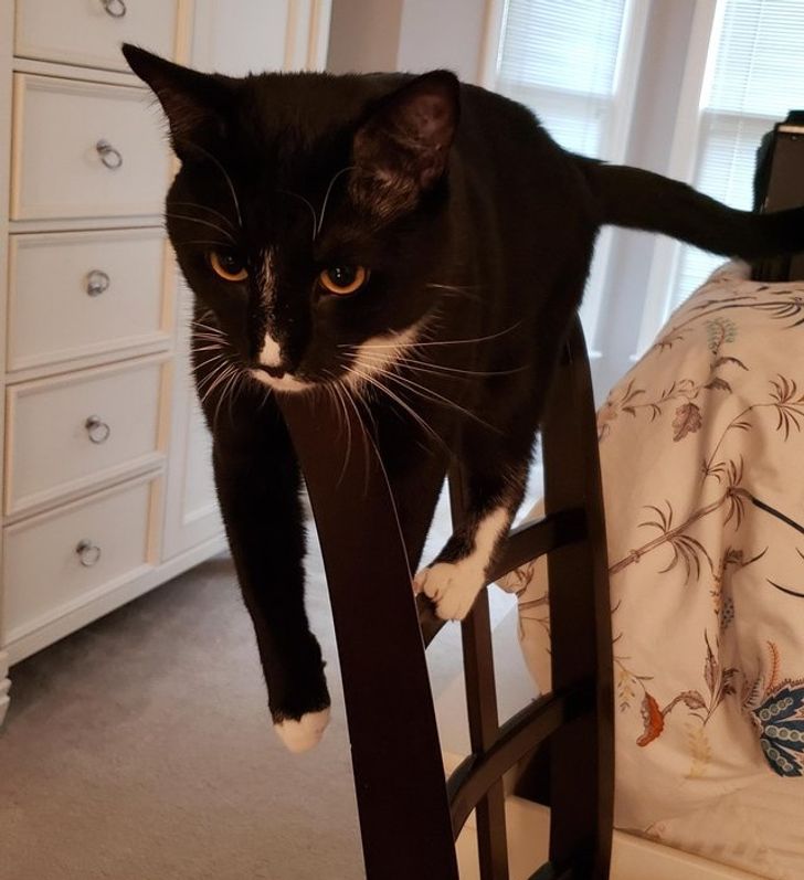 3053155eb79de9397bedf4ee02